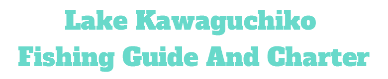 シンマフィッシングガイドサービス