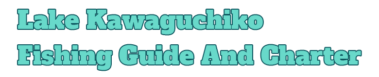 シンマフィッシングガイドサービス