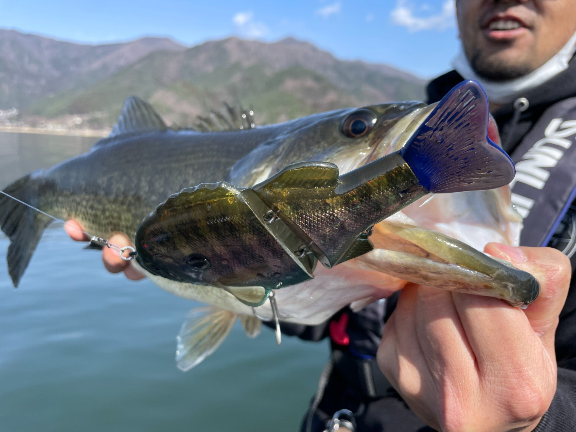 シンマフィッシングガイドサービス